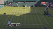 3854V2.webp