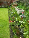 DSCN8716.webp