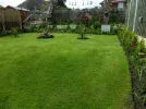DSCN8720.webp