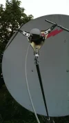 IMAG1190q.webp