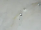DSCN0004.webp
