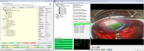 nfleuro2.webp