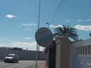 P1010560.webp