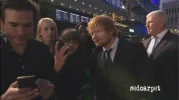 ed1.webp