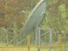 DSCN0726.webp