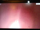 DSCN1060[1].webp