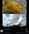 Astra28_12441V29500_UltraHD_Demob.webp