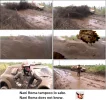 Foto_barro2_6_1_2016.webp