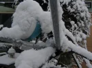 P1010030.webp