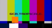 TC (241).webp