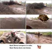Foto_barro2_6_1_2016.webp