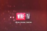 Wine TV.jpg