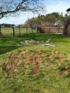 IMG_20160422_160426 (Custom).webp