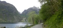 67.webp