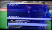 feed  1.webp