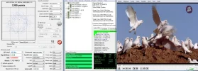 4003V.webp