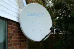 dish1.webp