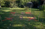 IMG_20160525_192058 (Custom).webp