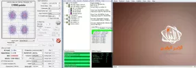 11032.webp