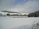 P2230034.webp
