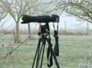 camera on tripod.webp