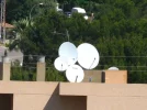 Sat dish.webp