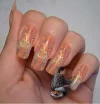 graphic10.webp