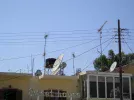 P7290080.webp