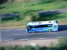 DSCN1481[1].webp