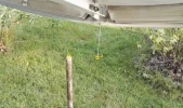 IMG_20160807_193648 (Custom).webp