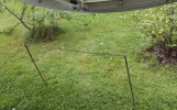 IMG_20160816_145349 (Custom).webp