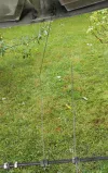IMG_20160816_145338 (Custom).webp