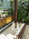 IMG_2640.webp IMG_2640.webp