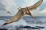 pteranodonSD.webp
