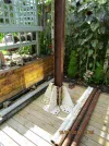 IMG_2640.webp IMG_2640.webp