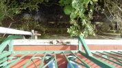 Sat 2.webp