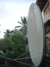 CIMG9884.webp