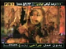persian star1 53e.webp