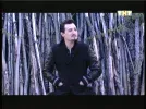 tnt international 36e.webp