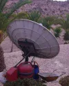 alber2.webp