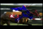 JockeyTV_3045 3971_V_2500_20161005_204935.webp JockeyTV_3045 3971_V_2500_20161005_204935.webp