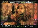 persian star1 53e.webp
