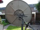 crazy dish 017.webp