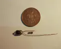 RC2000 neon & series resistor...webp RC2000 neon & series resistor...webp