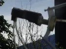 DSC00224.webp