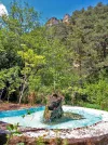 garden2.webp