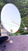 arm1.webp