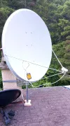 ant1.webp