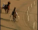 foggia ku_3355 11528_v_3332_20170823_173923.webp