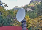 ant1.webp
